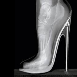 ������ ������ ������ �������