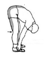 �������� ������ ����������� ����� - �������� �����