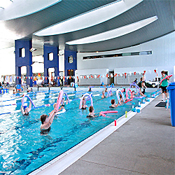 ������� �������������