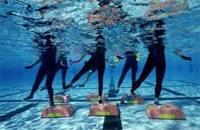 ������� �������������