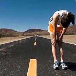 �������������������