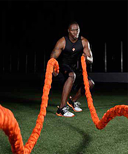 ���������� � ��������