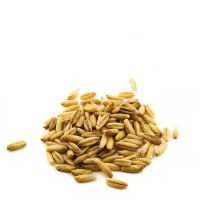 5 ���������: ����