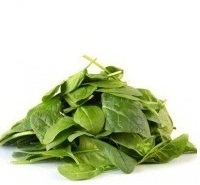 5 ���������: ������