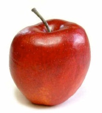 5 ���������: ������