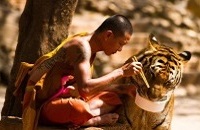 ���� ��� ���������