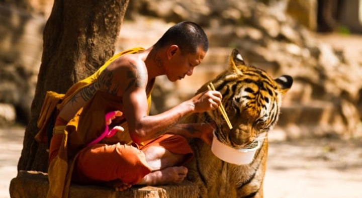 ���� ��� ���������