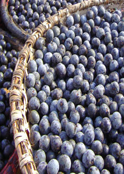 ����� ����