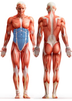 �������� �������� ������