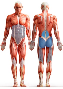 ������ �� ����� ����