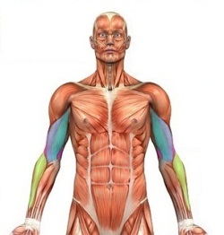 ���������� �� ������