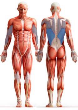 ������������ �� ������