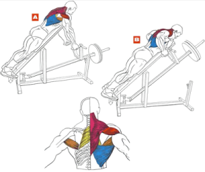 ����� ������� ������ �� ����� ���� �-������