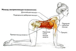 ���������� �����