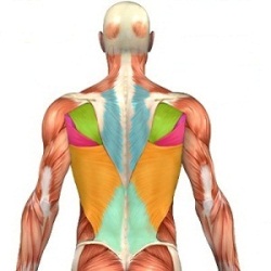 ���������� ��� �����